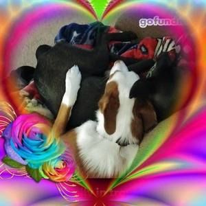 Meet your Posher, Randy